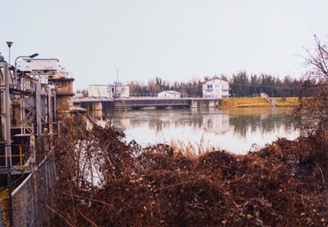 Photography, Abbas Gharib, Fog, 2024, 78404