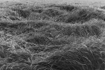 Photography, Mohsen Shahmardi, Untitled, 2014, 78910