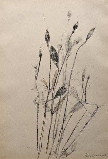 Sima Bagherzadeh, Untitled, 0, 0