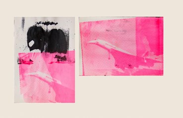 Print and Multiples, Sina Choopani, Permeation No.2, 2017, 52001