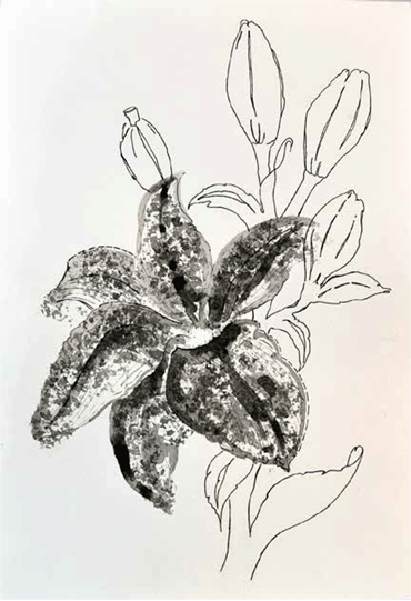 Shirin Karami Mofrad, Untitled, 2024, 0