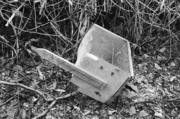 Photography, Kimia Askarian, Untitled, 2021, 76104