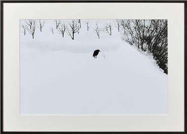 Photography, Abbas Kiarostami, Snow White, 2004, 15923