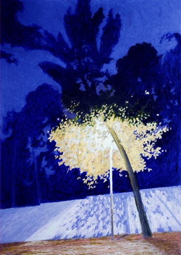 Painting, Anahita Darab Beigi, Tehran After The Sunset, , 82712