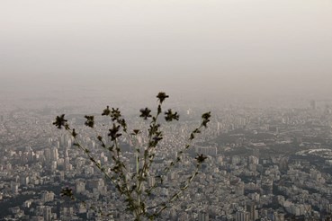 Rasa Hezarkhani, Untitled, 2018, 0