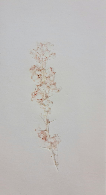 Heecha, Untitled, 0, 0