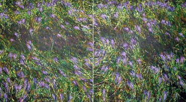 جلال الدین مشمولی