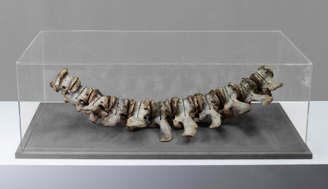 Farzad Shekari, Untitled, 2020