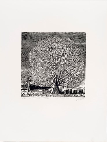 Davood Emdadian, L'arbre Hors du Clos, 1979, 0
