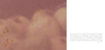 Nastaran Fotouhi, Untitled, 2025, 14820