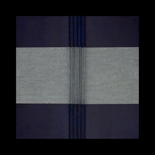 Afshan Daneshvar, Untitled, 2025