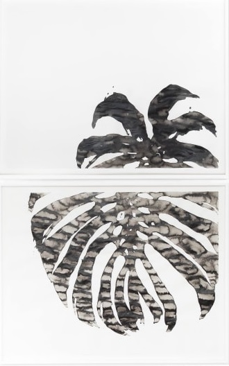 Abbas Akhavan, Untitled, 2017
