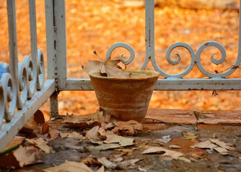 کیوان کاسب، بدون عنوان، 1396