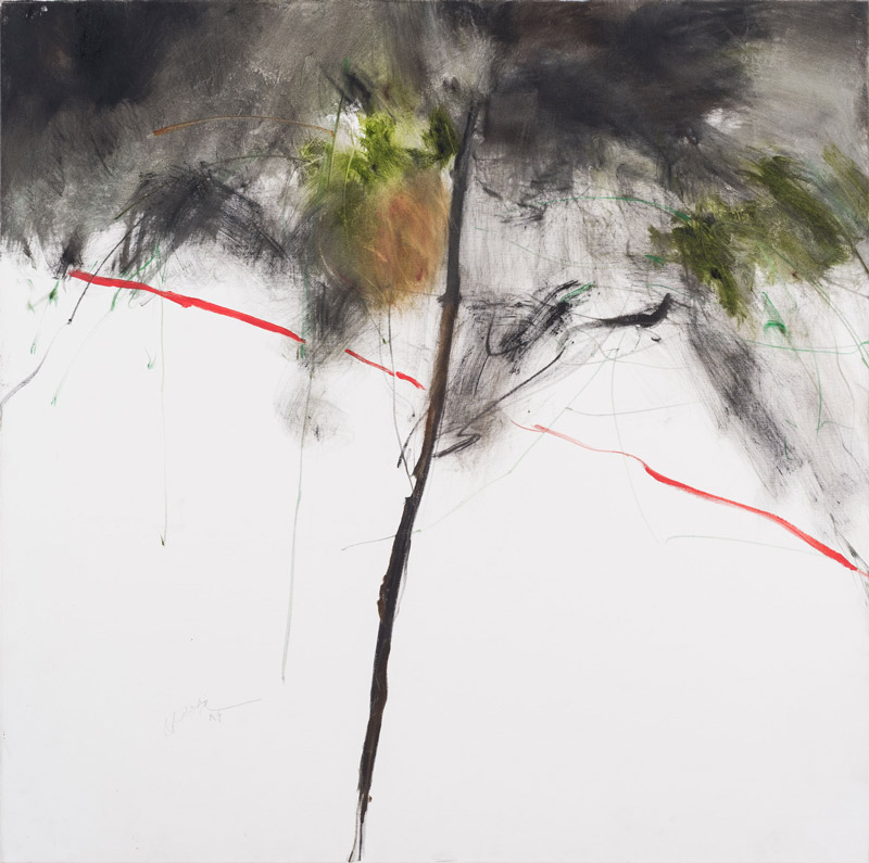 Farideh Lashai, Untitled, 2007
