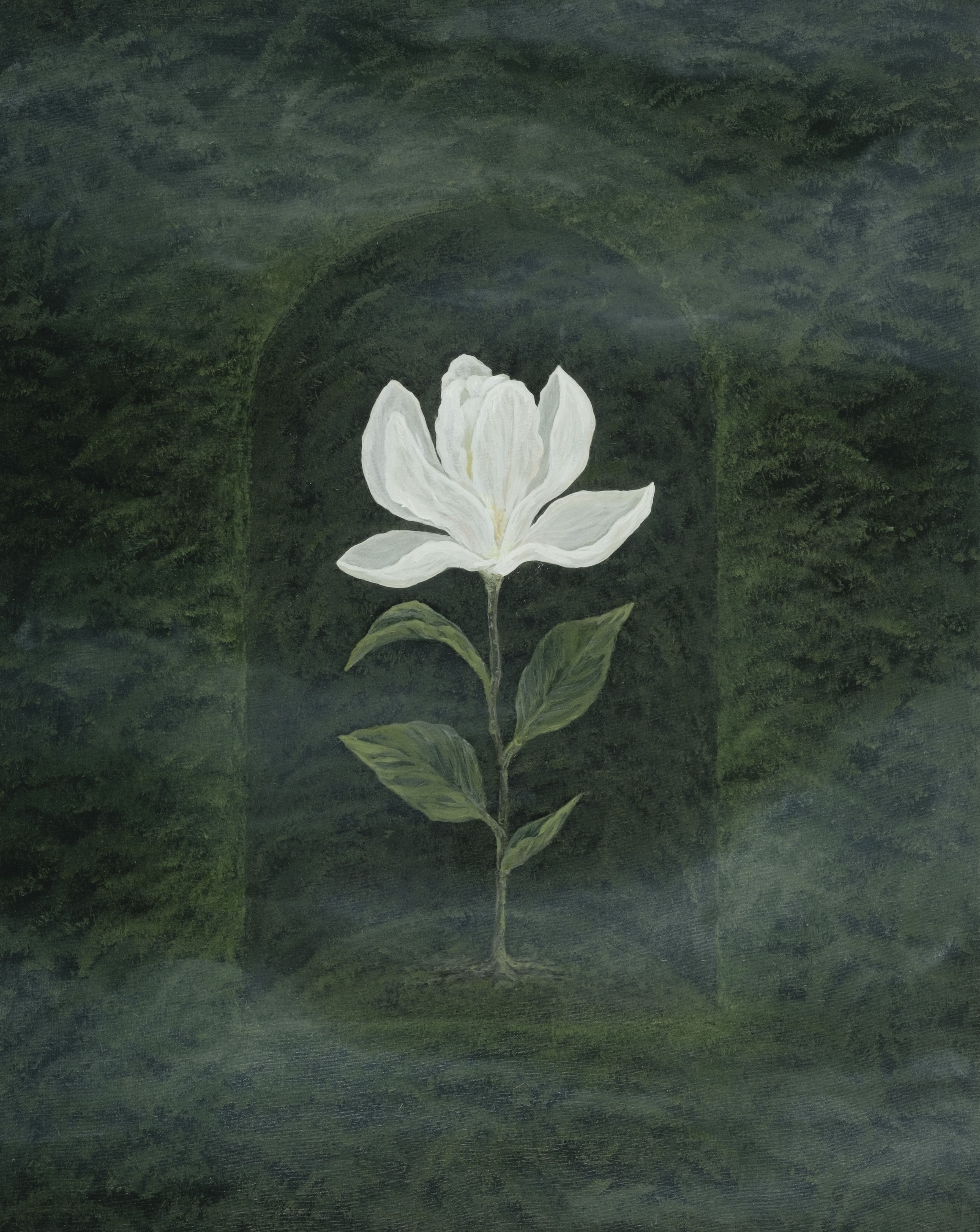 Samaneh Abri, Bloom, 2026