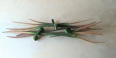 Mohammad Rasoulinezhad, Red Garden, 2024, 0