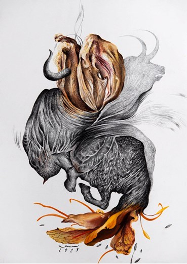 Azin Rostami, Untitled, 0, 0