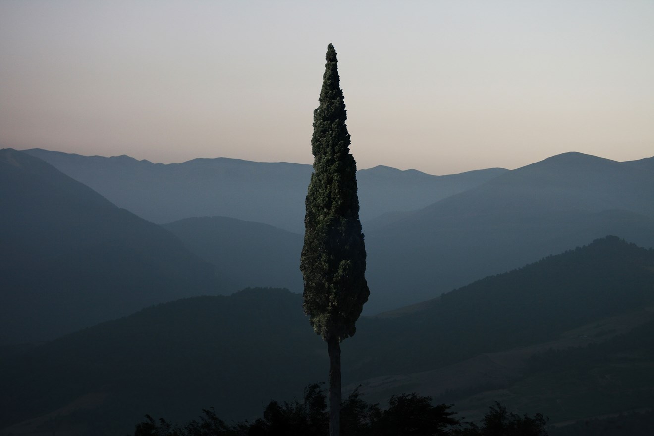 مهدی مقیم نژاد