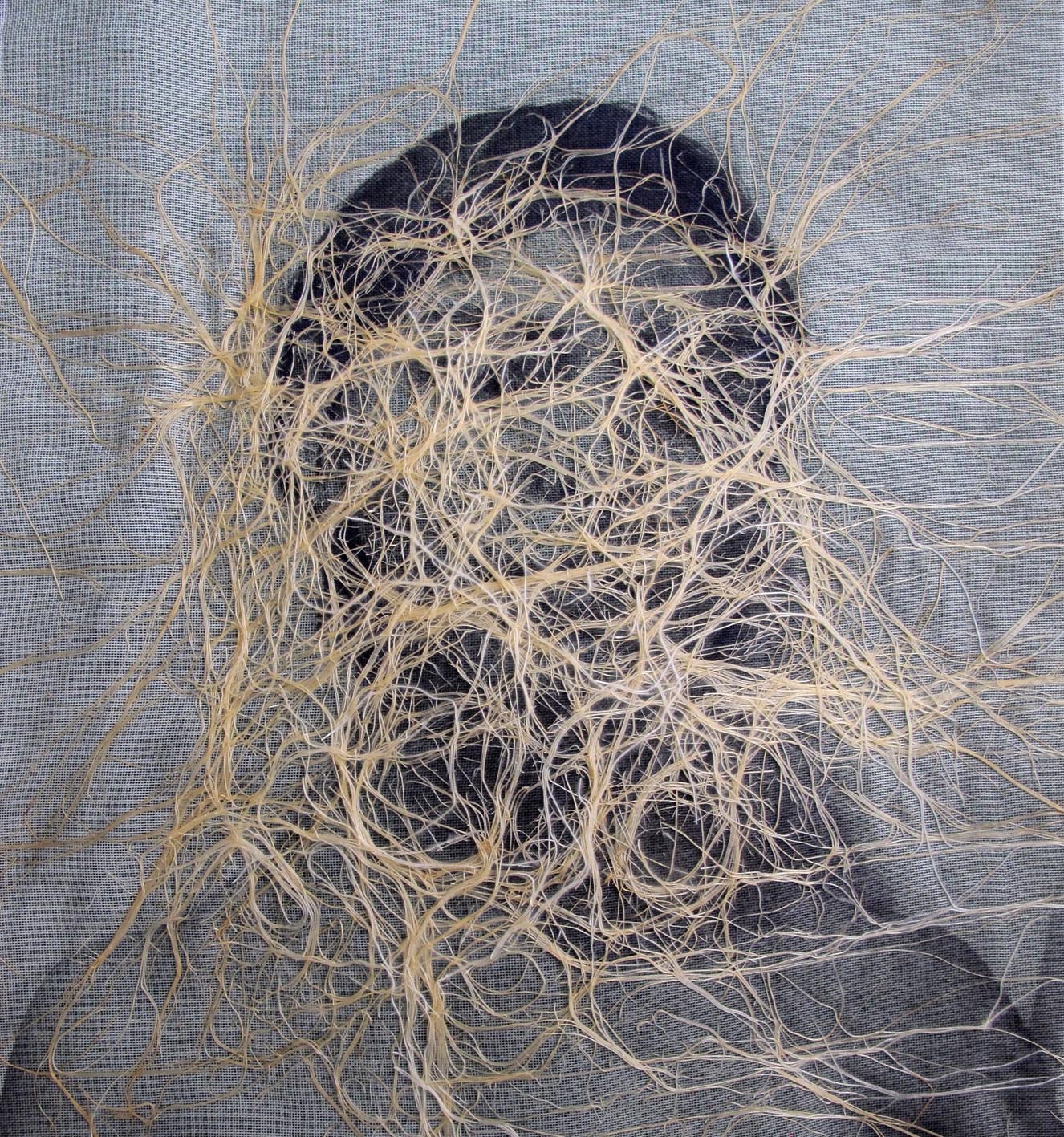 Pooneh Oshidari, Amnesia, 2018