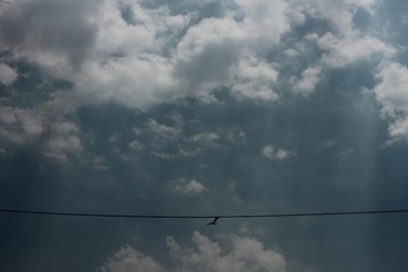 Rasa Hezarkhani, Untitled, 2018, 0