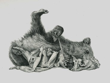 Drawing, Parisa Abbasi, Untitled, 2018, 74102