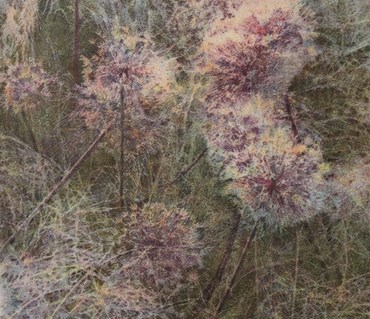 Fatemeh Shakouri, Dandelion 2, 2024, 0