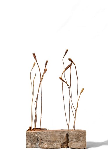 Hedie Khanali, Untitled, 2020, 0