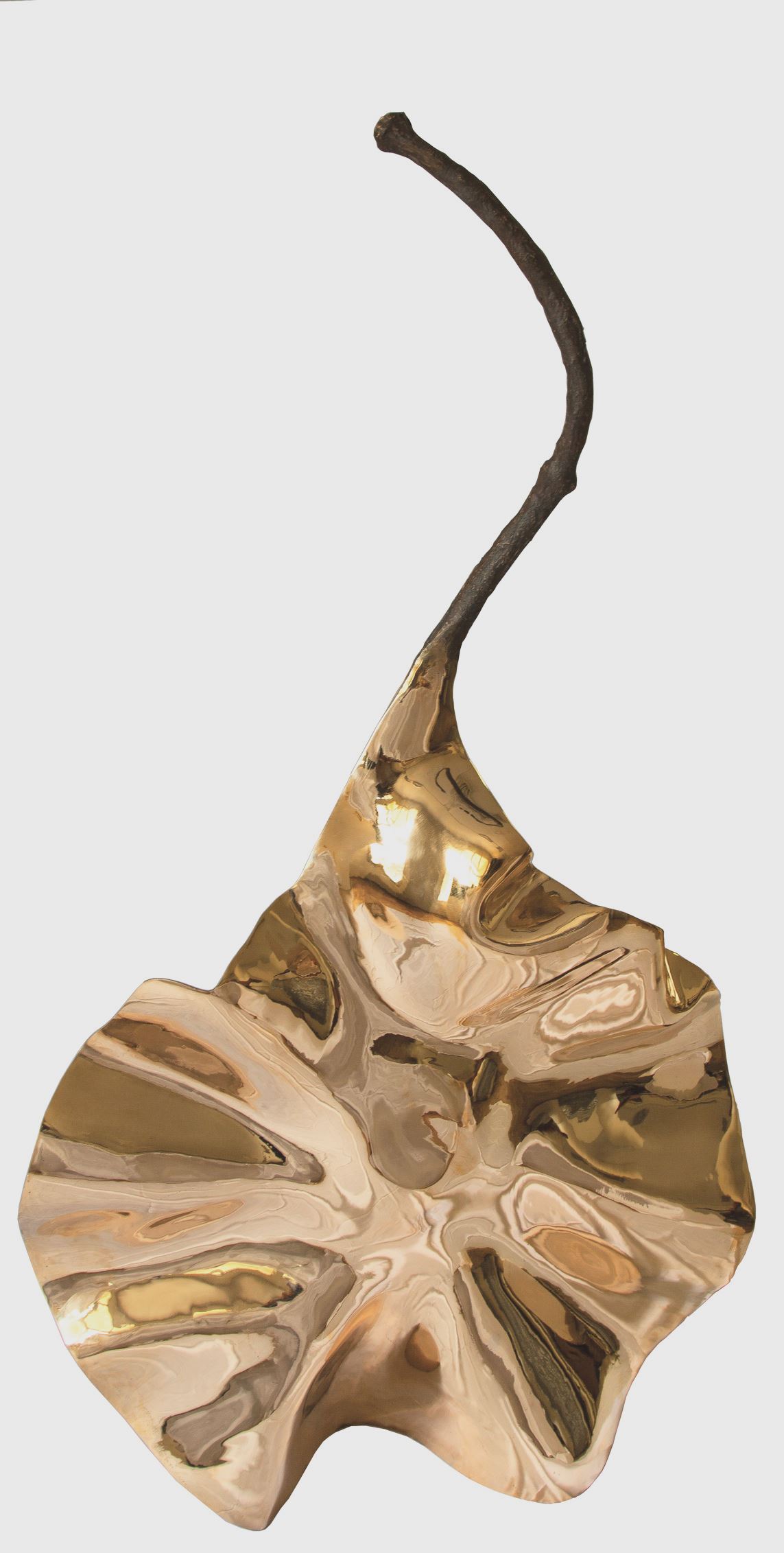 Behdad Lahooti, Untitled, 2010