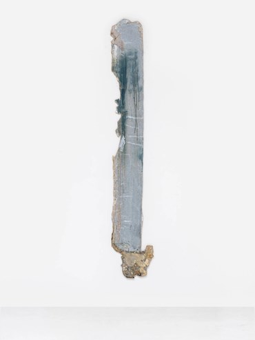 , Kamyar Bineshtarigh, Alka's Darkroom Doorway Wall, 2025, 80445