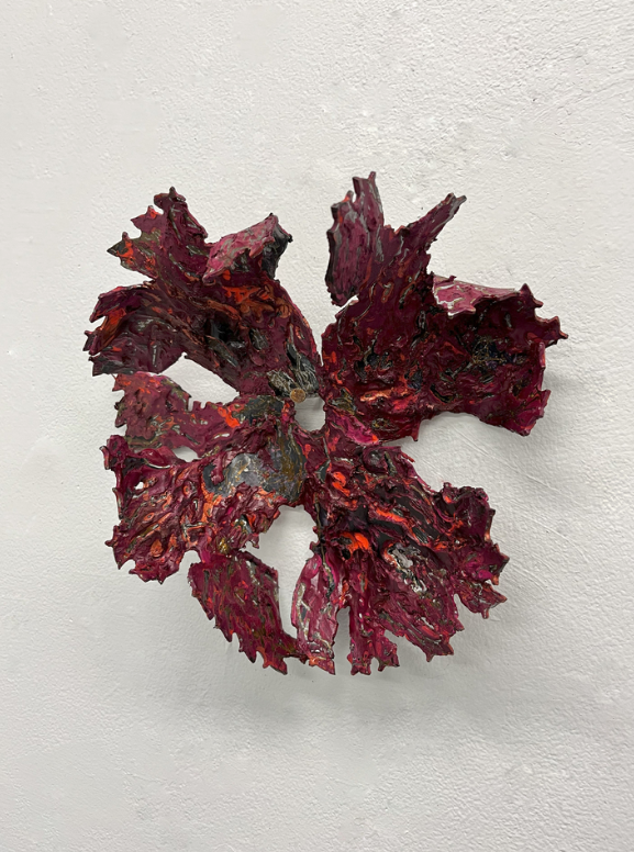 Anahita Bagheri, Sharp-Skinned, Red, 2024