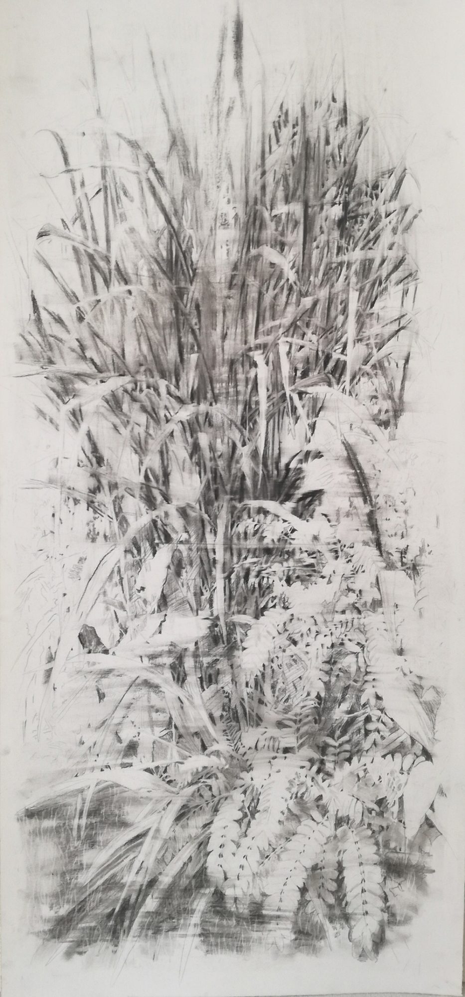 Mina Ghaziani, Untitled, 2021