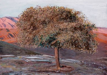 , Ahmad Morshedloo, Untitled, , 80415