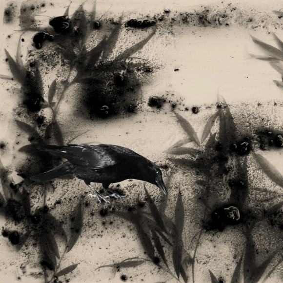 Sepideh Sahar, Untitled, 2018