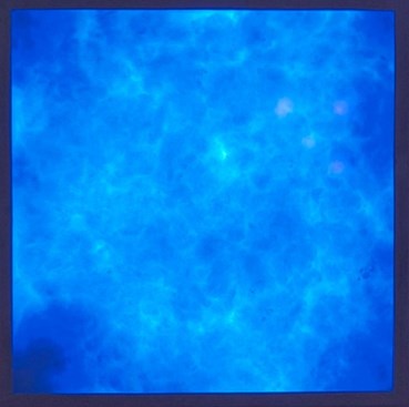 Aboo Shahi, Untitled, 2024, 0