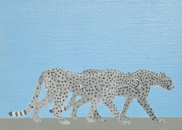 , Maryam Amiryani, Safari: Cheetahs, 2022, 63085