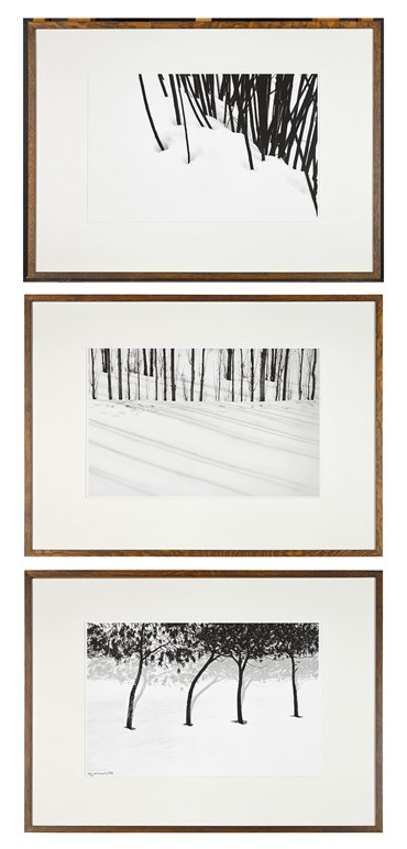 Photography, Abbas Kiarostami, Three Photographs (From the Trees in Snow Series), 2005, 70832