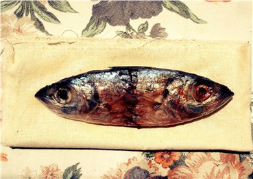 Mixed media, Parsa KameKhosh, The fish Achieves Perfection in the Garden, 2015, 36604