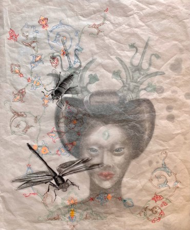 , Roxana Manouchehri, Dragonfly, 2022, 61673