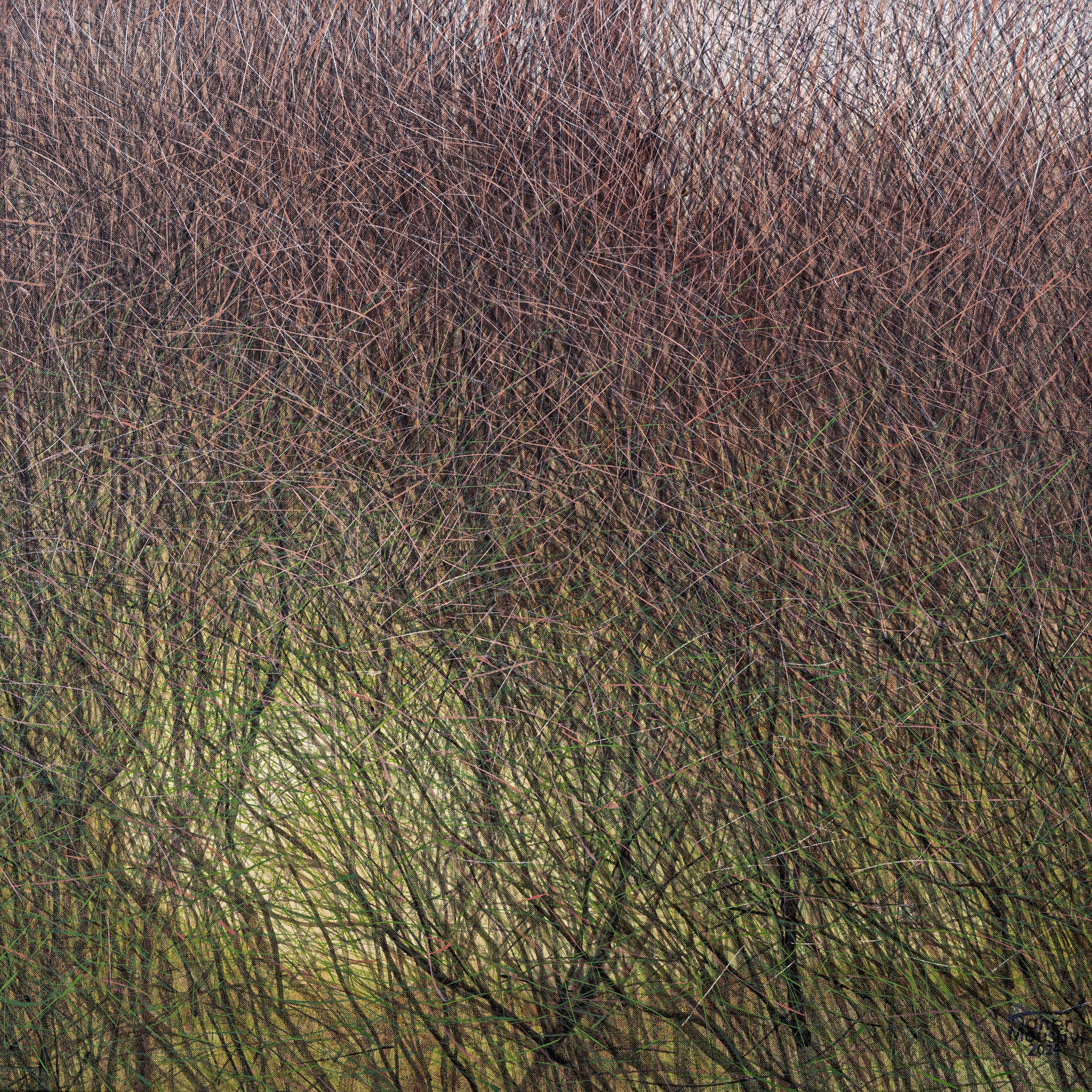 Seyed Taher Moosavi, Nature 11, 2023