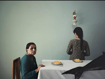 Photography, Morteza Niknahad, Untitled, , 75362