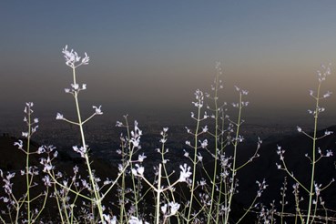 Rasa Hezarkhani, Untitled, 2018, 0