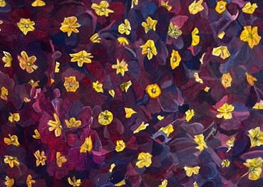 Farina Bayat, Violet Primroses, 2025, 0