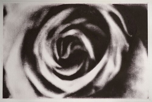 Shahin Esfandiari, Untitled, 2025
