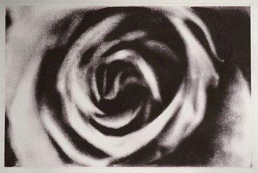 , Shahin Esfandiari, Untitled, 2025, 82263