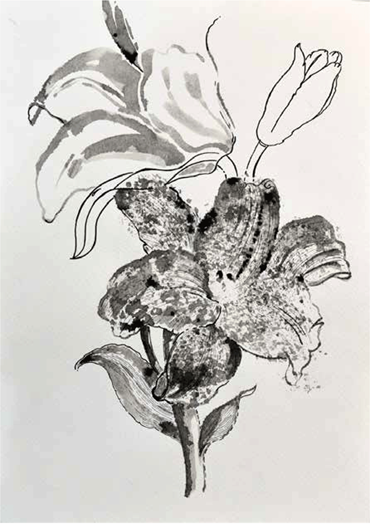 Shirin Karami Mofrad, Untitled, 2024, 0