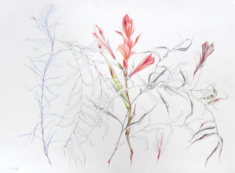 Nazila Moghadam, Untitled, 2022