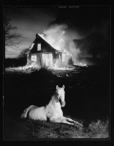 , Pauline Guilmoth, Untitled, 2024, 75425