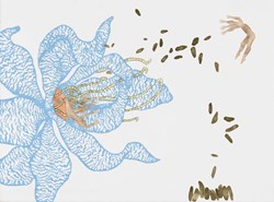home-scroll-5