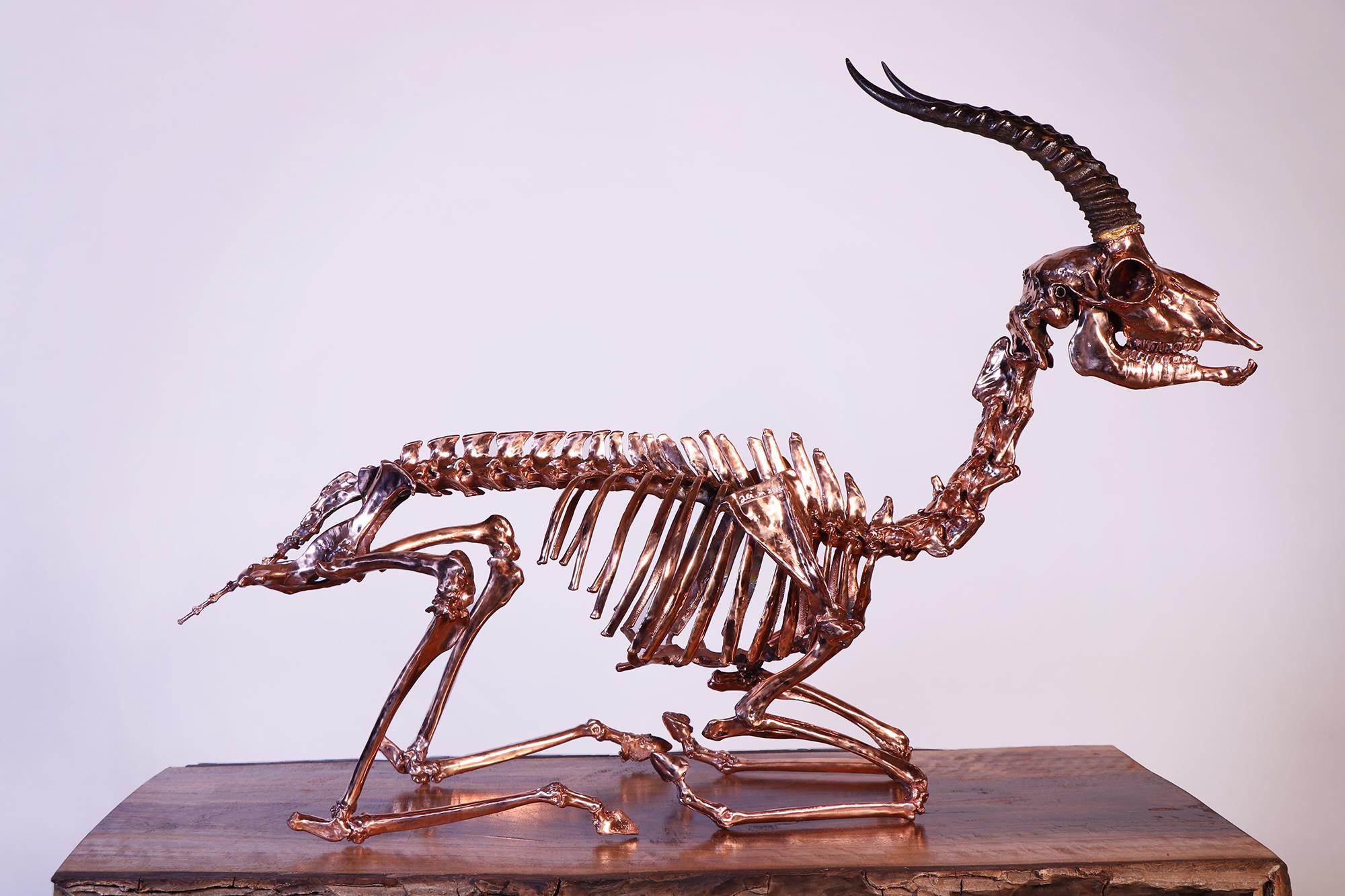 Alireza Memariani, Copper Mummy of Hormoz Deer - Number 2, 2018