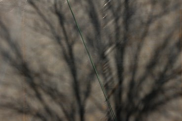 Rasa Hezarkhani, Untitled, 2022, 0